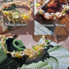 Macaron
- Green Fluorite
Damask Rose
- Rose Quartz
Daisy Breeze
- Natural Citrine