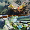Summer Vacation
- Clear Quartz
-  Natural Citrine
Oasis
- Aquamarine